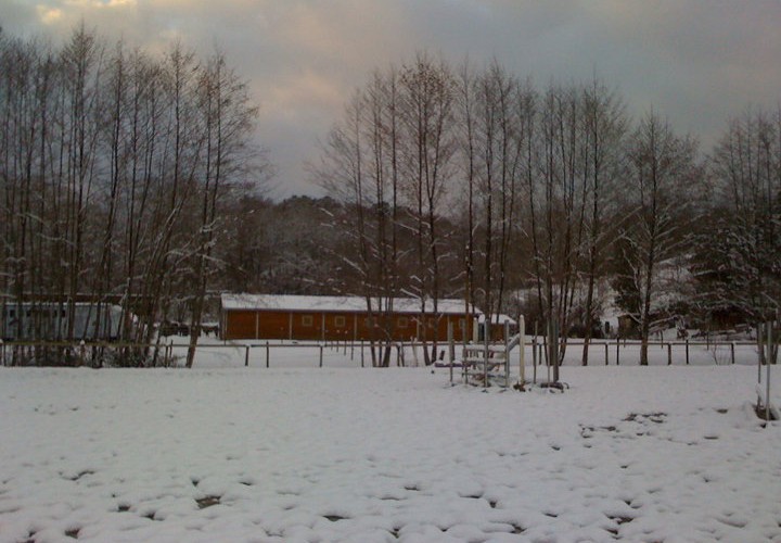 Centre equestre neige